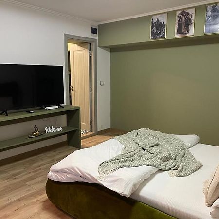 Magic Green Studio Hunedoara Lejlighed Eksteriør billede