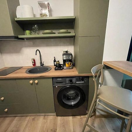 Magic Green Studio Hunedoara Lejlighed Eksteriør billede
