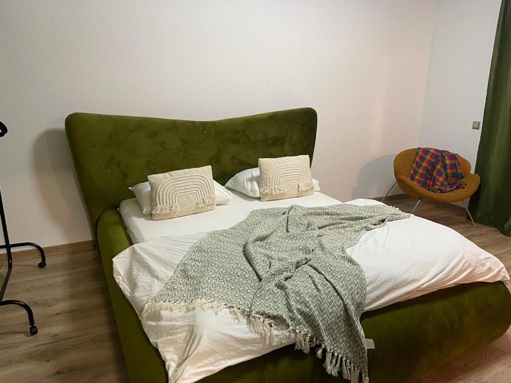 Magic Green Studio Hunedoara Lejlighed Eksteriør billede