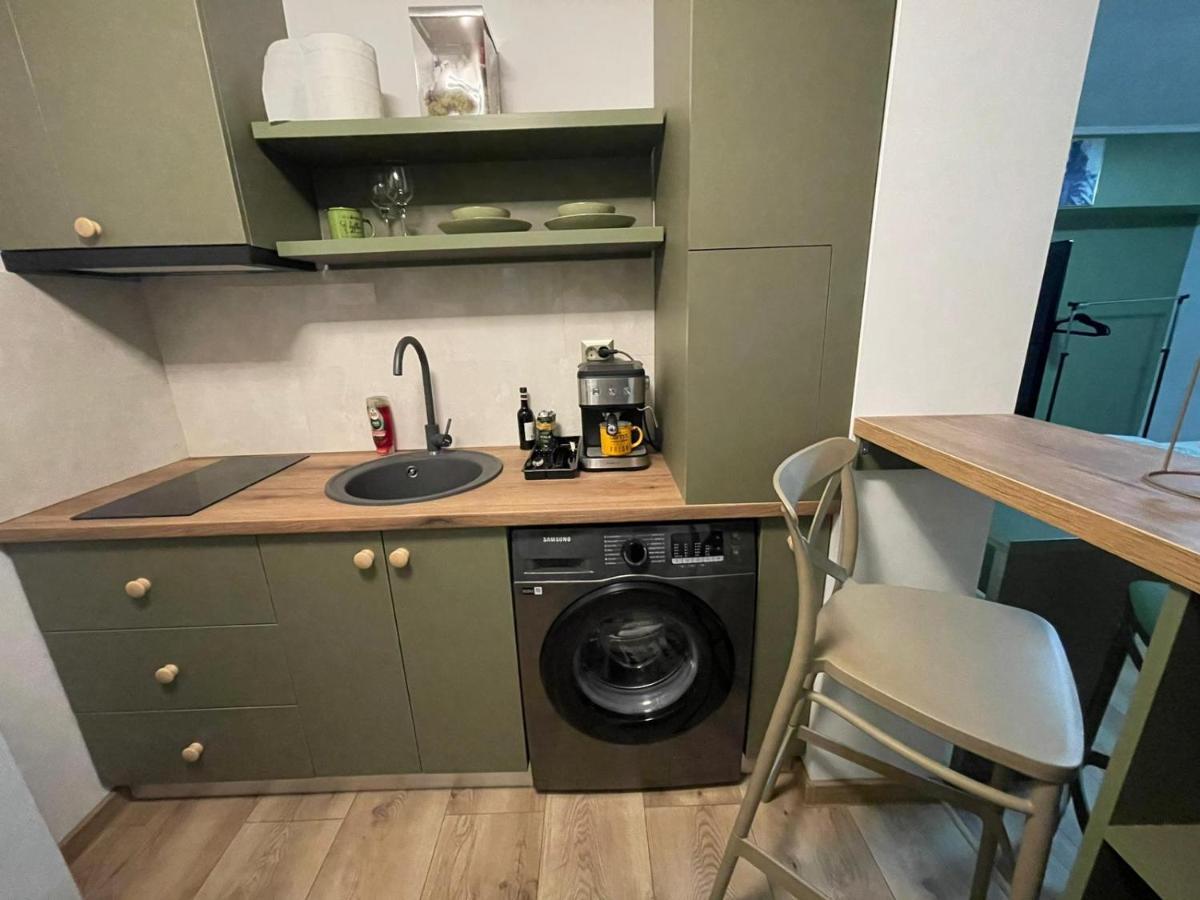 Magic Green Studio Hunedoara Lejlighed Eksteriør billede